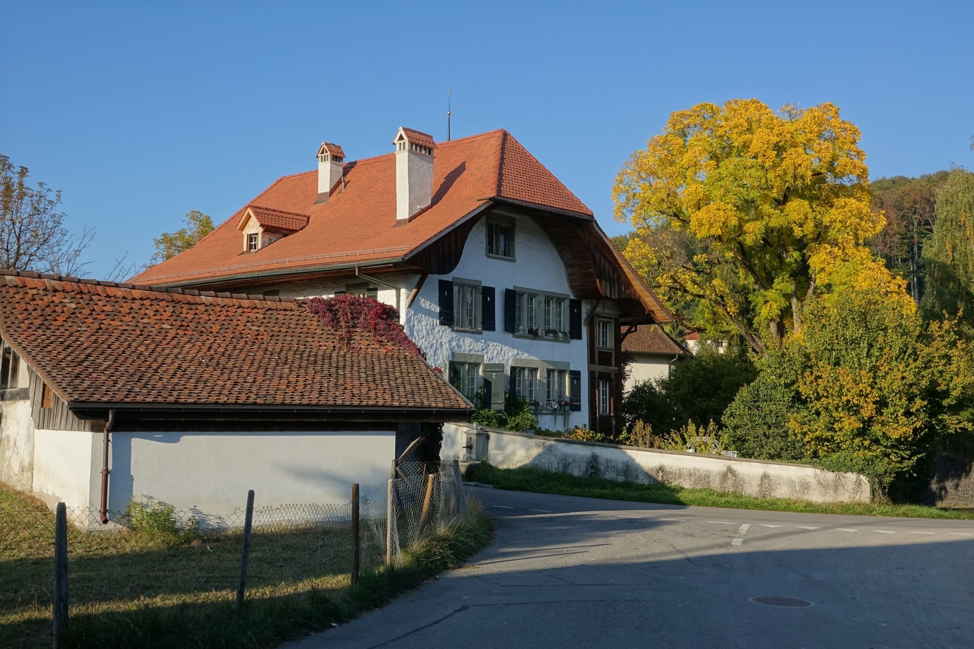 Headerbild