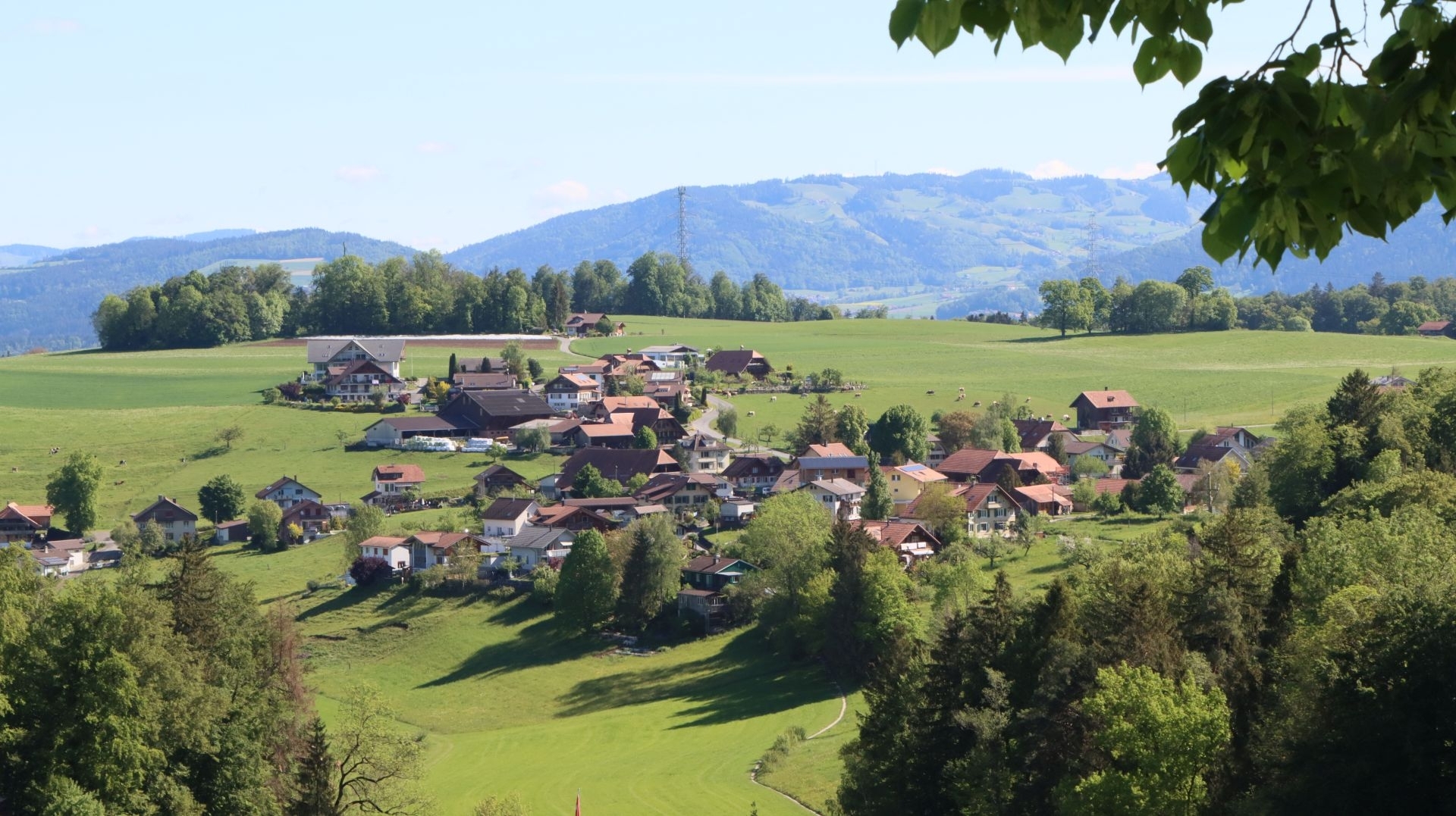 Headerbild