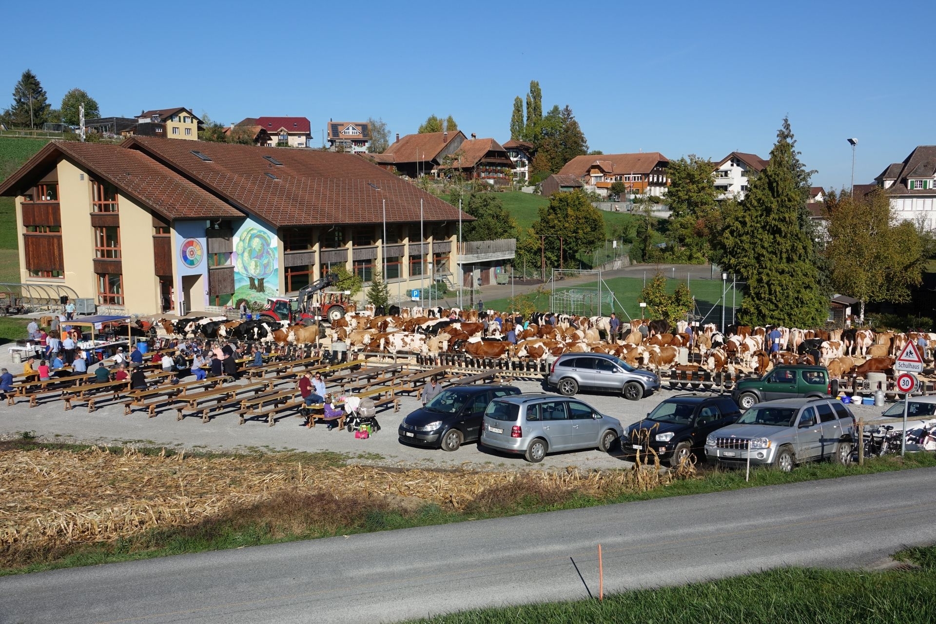 Headerbild
