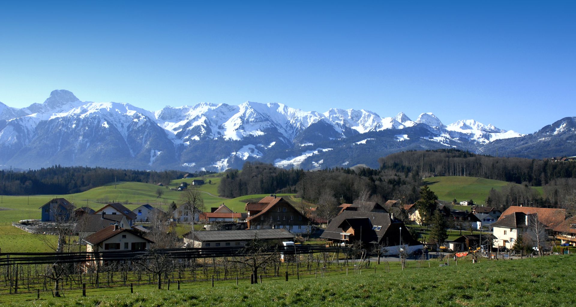 Headerbild
