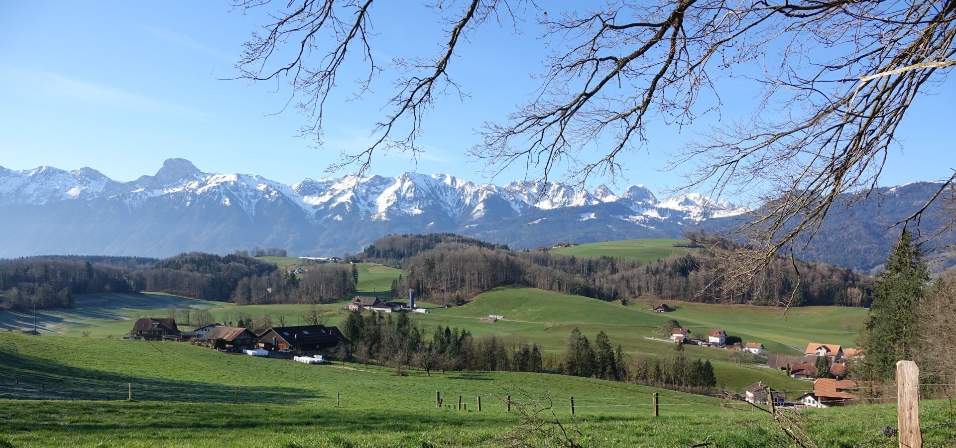 Headerbild